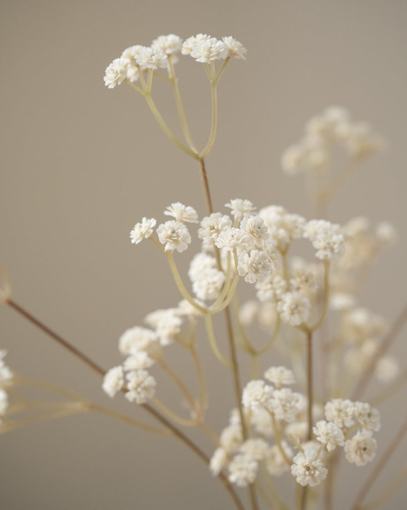 Faux Flower Baby Breath Brown/White - Things I Like Things I Love